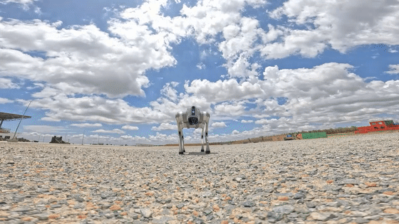 1716763873559203.gif 02.gif