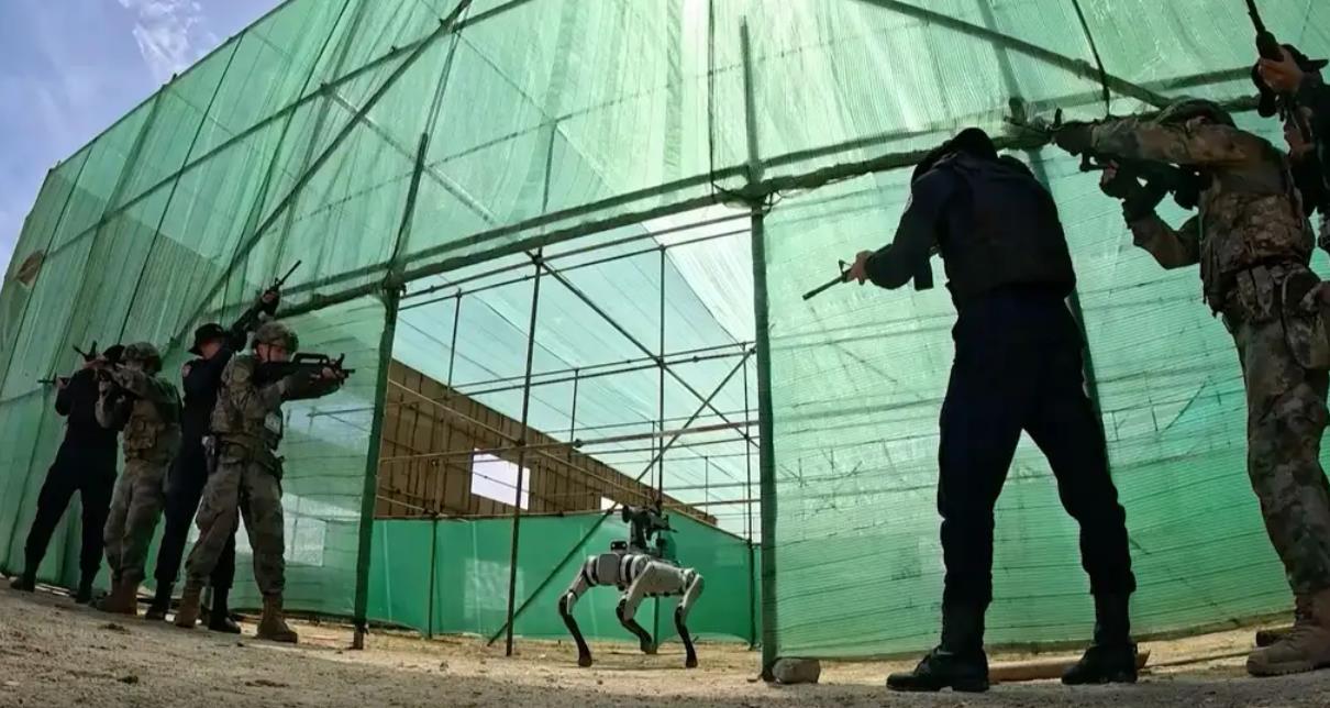 1716763899279952.jpg 03.jpg