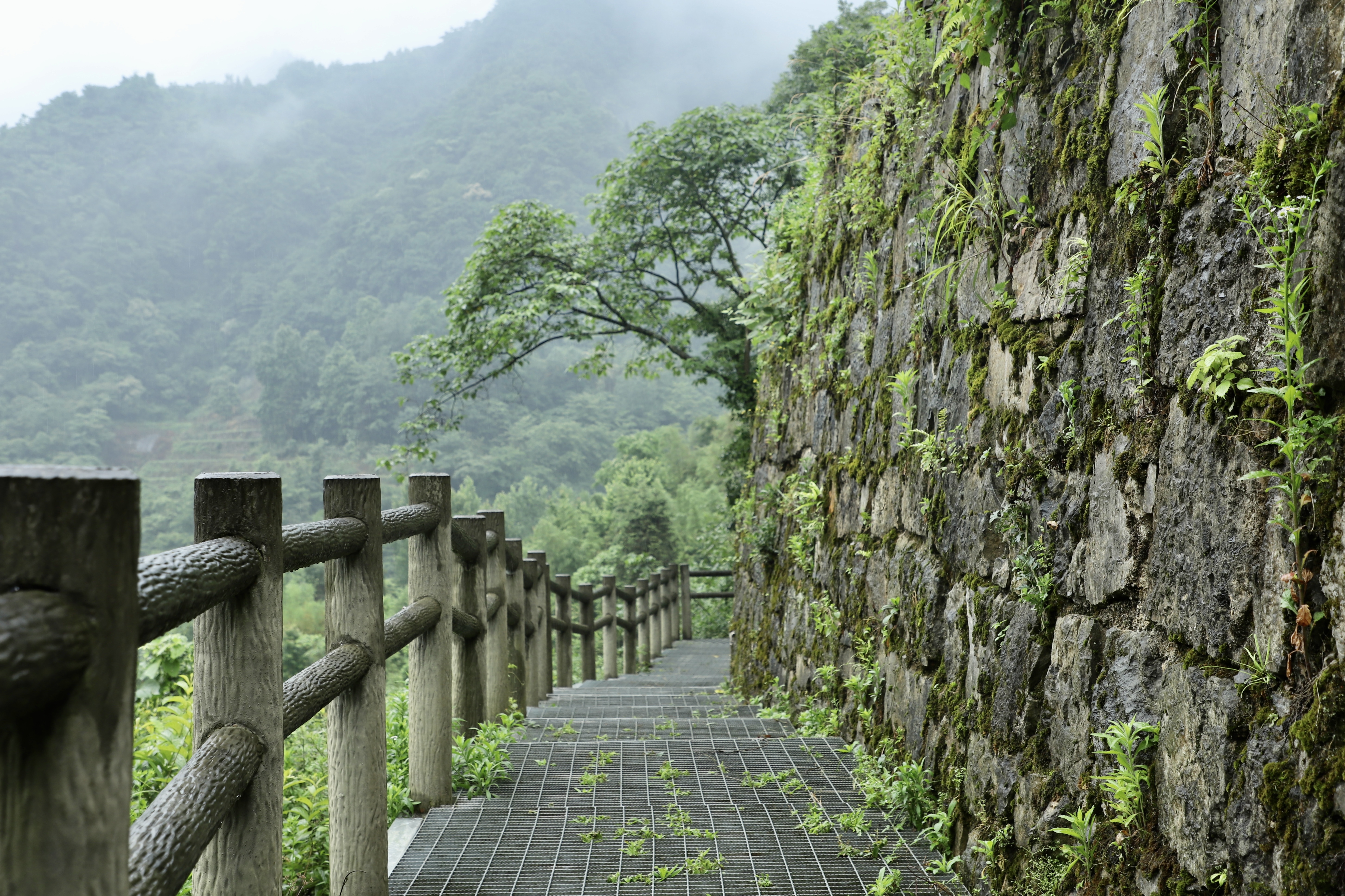 1717068673722432.jpg 海龙屯遗址。顾兰云 摄 (4).JPG