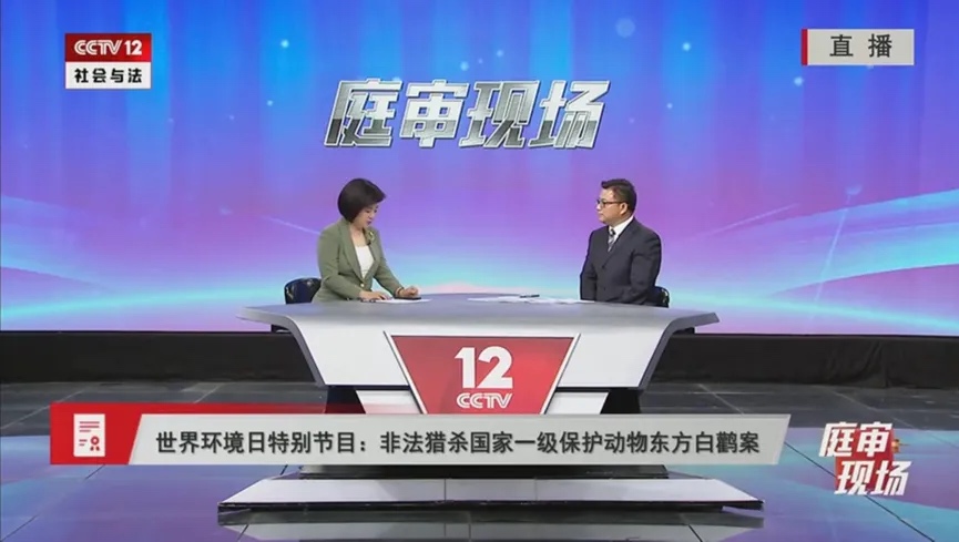 1717638519943718.jpg 1 - 03.jpg