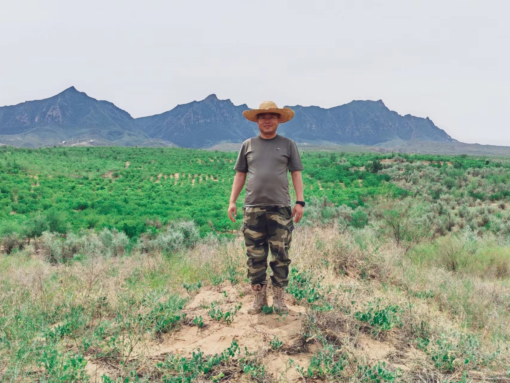 杨福贵站在“大沙丘”上面，背后是大片人工林和黄羊山。本报记者 张腾扬摄 (2).jpg