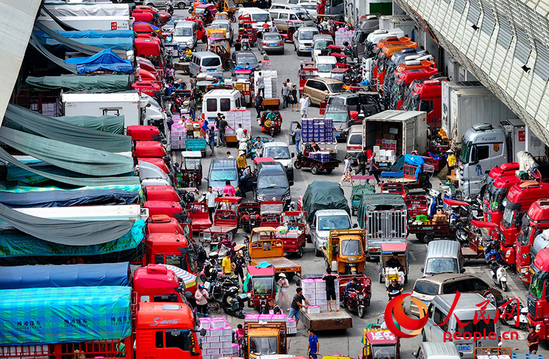 1719275258647493.jpg 广西南宁海吉星农产品国际物流中心物流繁忙。人民网 雷琦竣摄.jpg