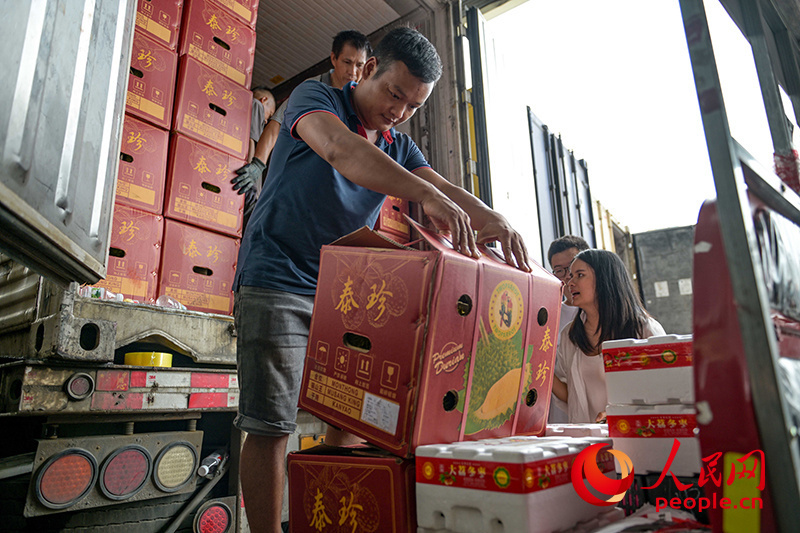 1719275818360783.jpg 果商正在将榴莲卸货。人民网 雷琦竣摄.jpg