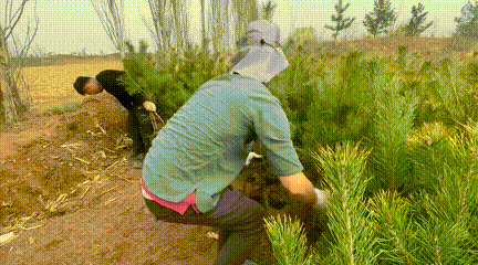 374325284c99edb6dea646c5d0aabe04.gif