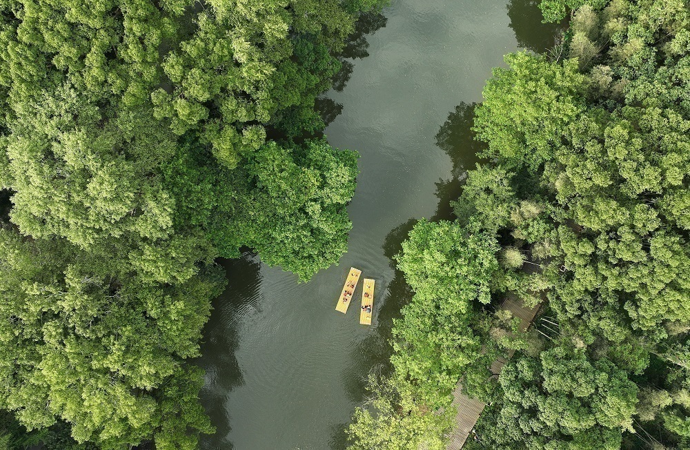 1719668028461382.jpg 4.jpg