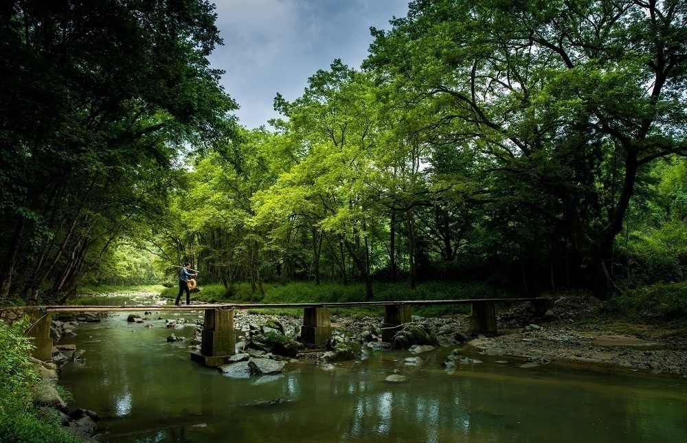 1719669797410222.jpg 5.jpg