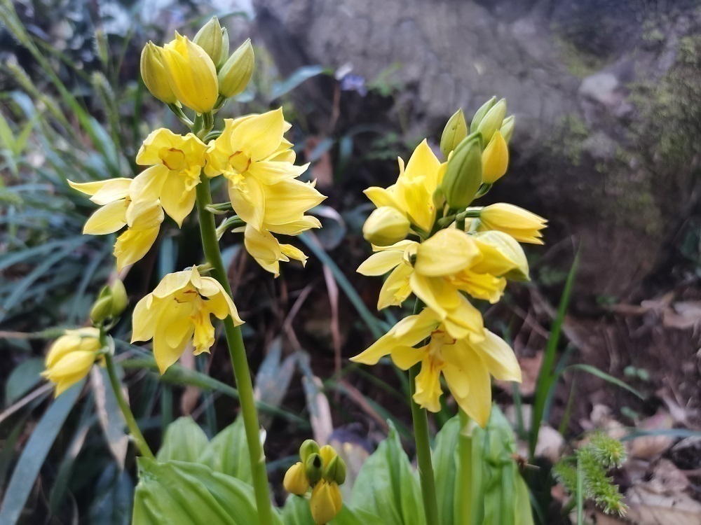 1719668067505251.jpg 1.jpg