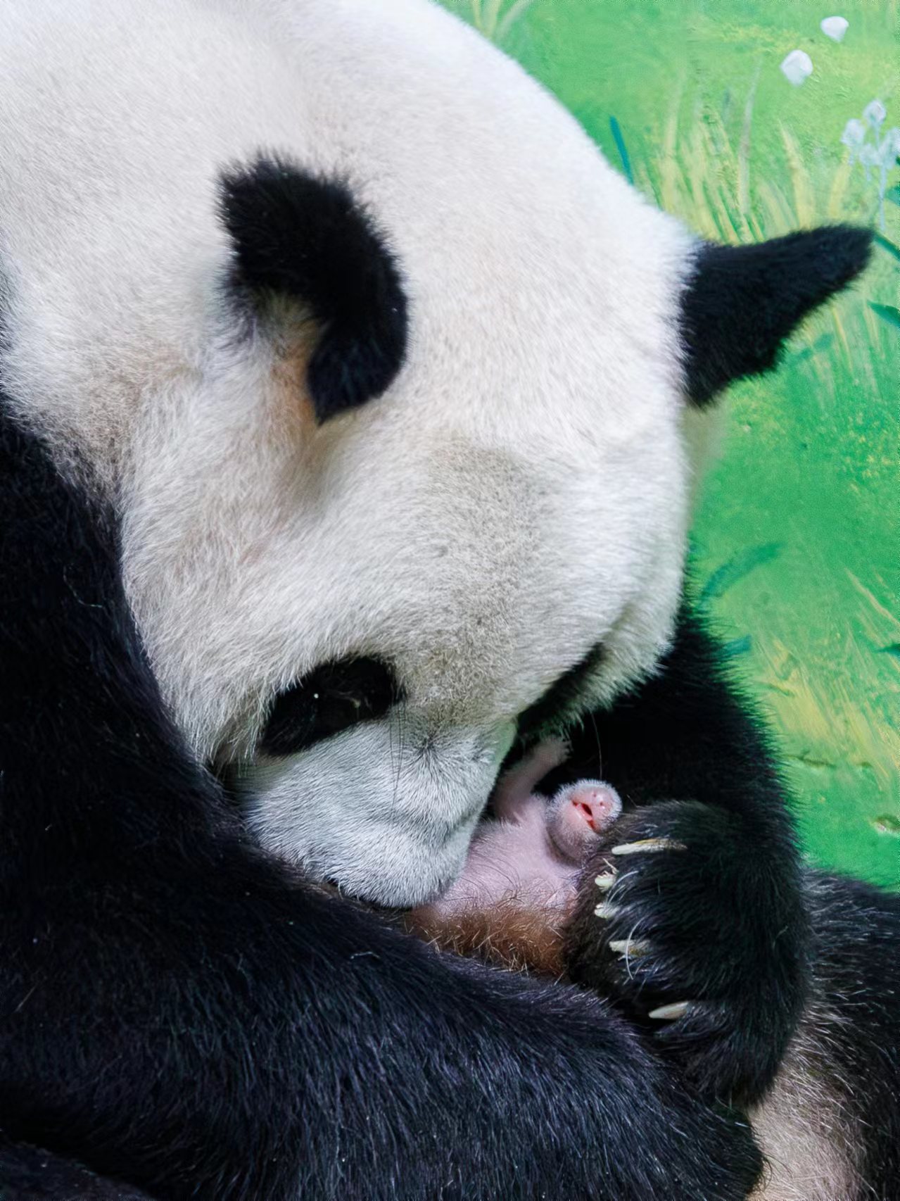 1719986122116248.jpg 144280993.jpg