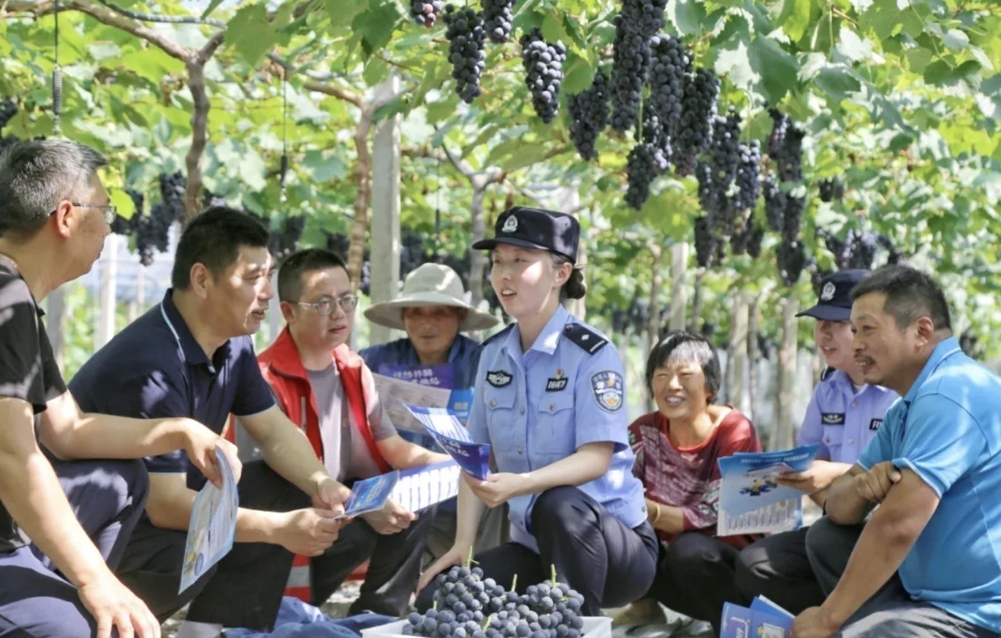 截屏2024-07-10 15.38.49.png