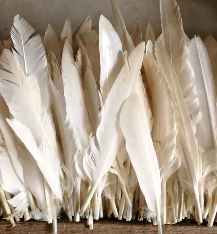 揭密羽毛球竟然是这样做出来的