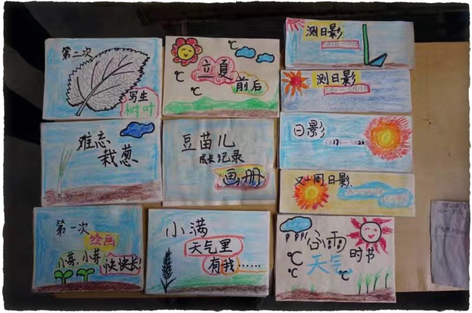 王二保小学的二十四节气自然笔记