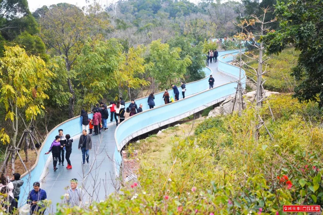 泉州大坪山玻璃棧道