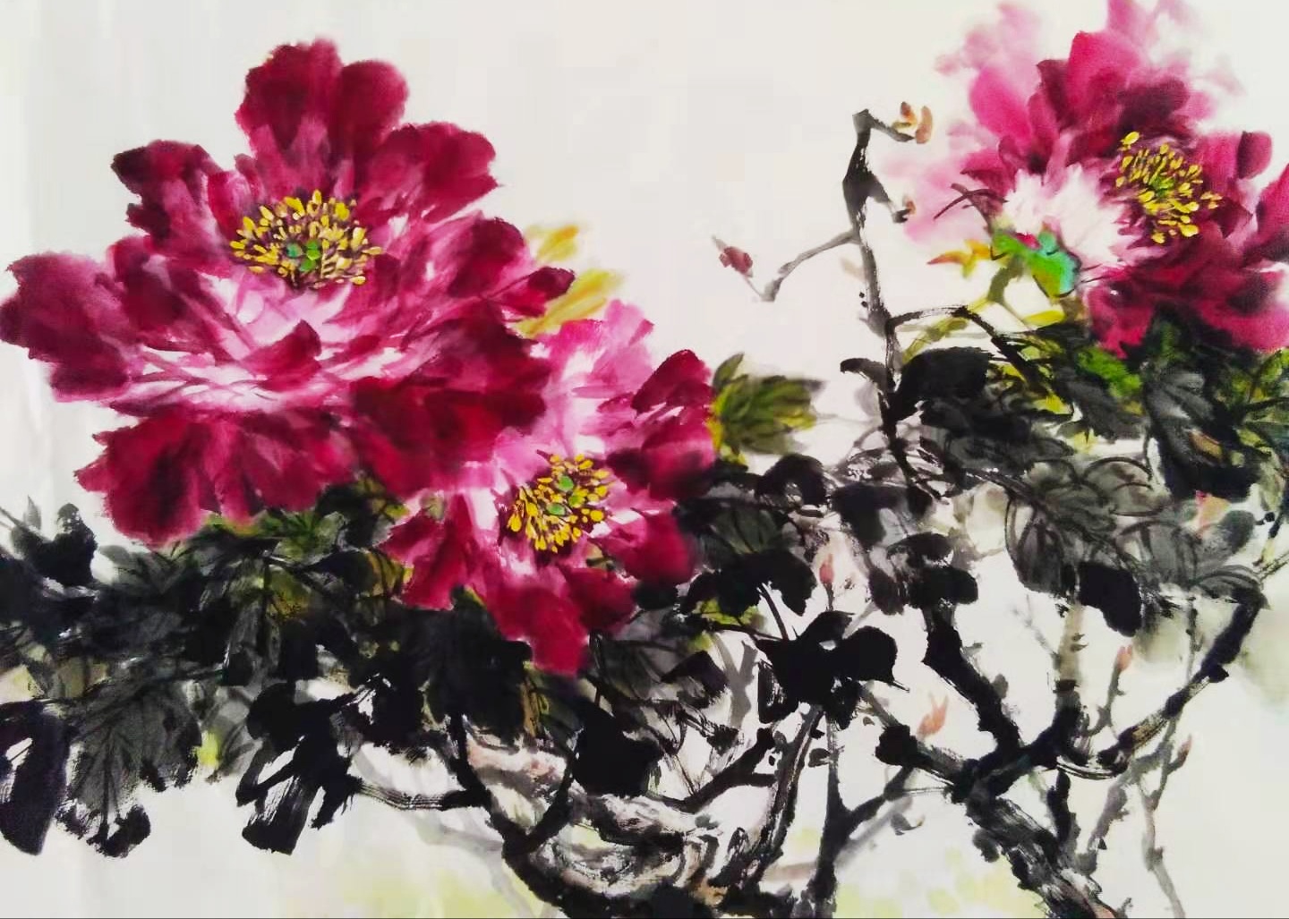 王雪涛牡丹画法南阳国画名家吕银芳奉上开年力作春风大雅