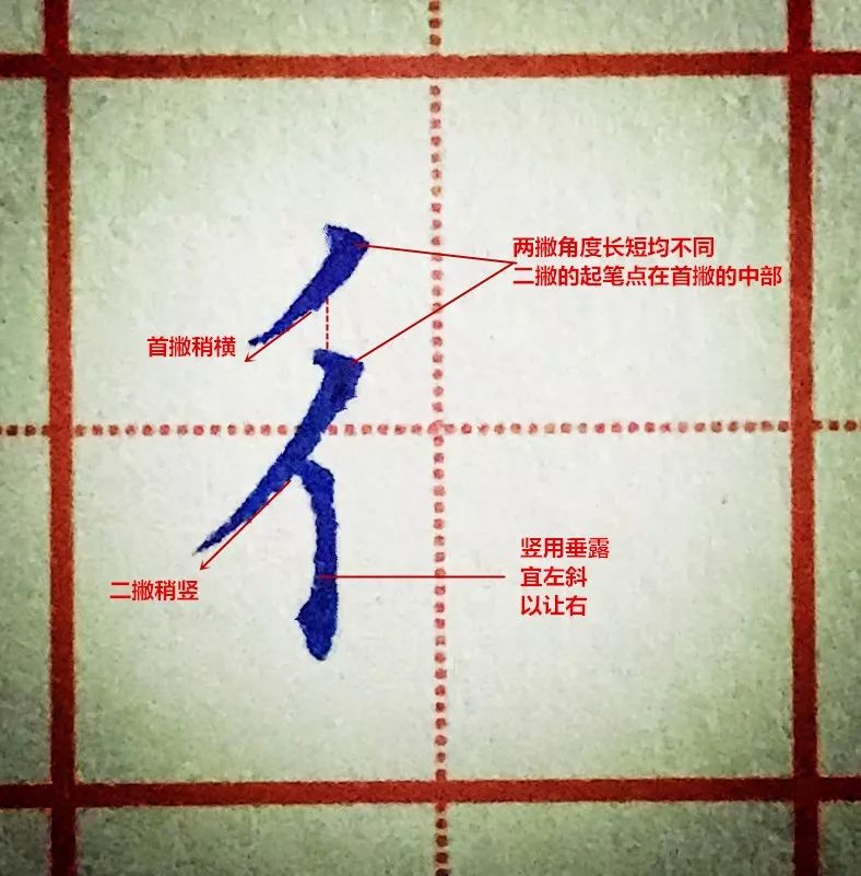 硬笔楷书偏旁部首的写法与应用双人旁及例字