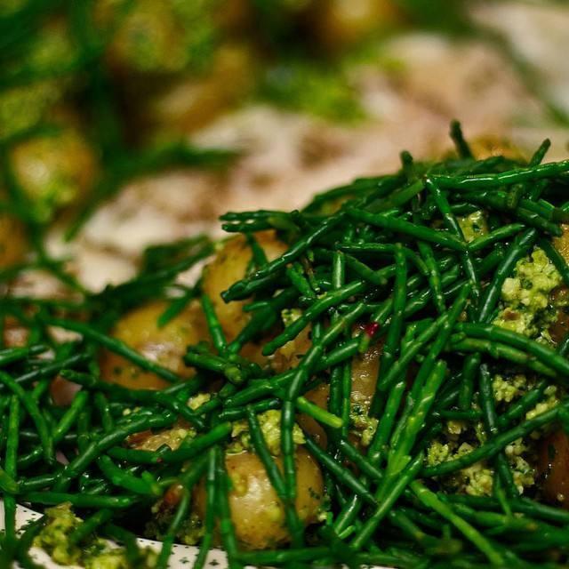 这种海里天热野菜人称海人参外国人当高端菜国内少吃