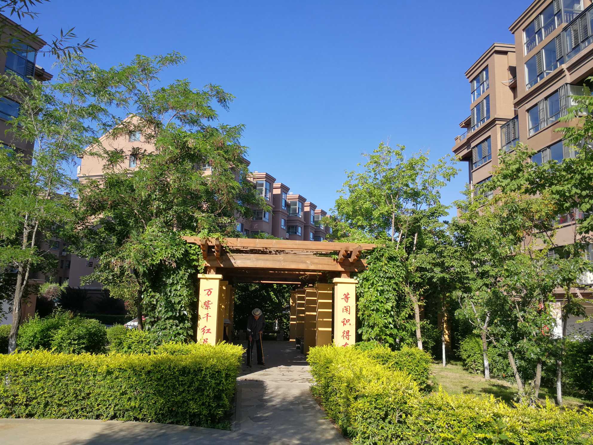 辽宁省新民市依林印象小区美图欣赏