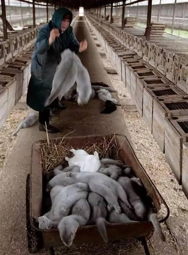 活久见四大顶级超模齐上阵背后的原因直戳人心