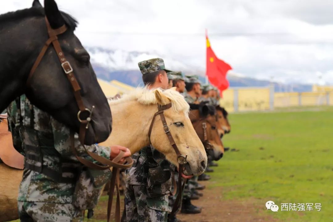 骑兵连,冲锋!