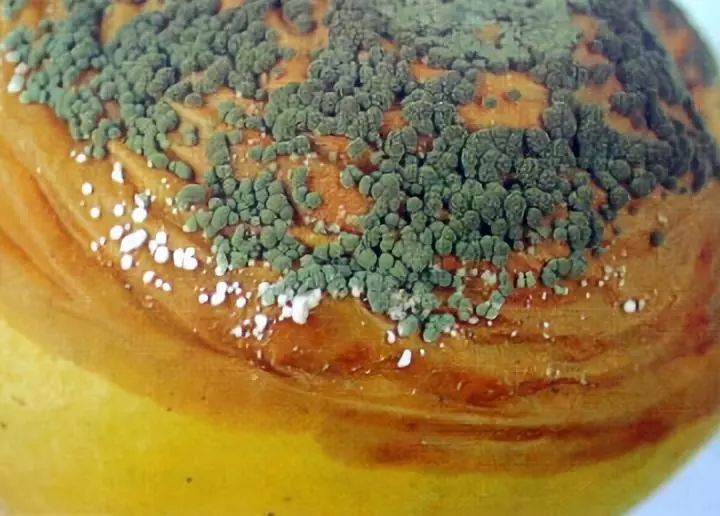 展青霉素是由展青霉产生的一种聚酮类次生代谢产物,青霉属,曲霉属,丝