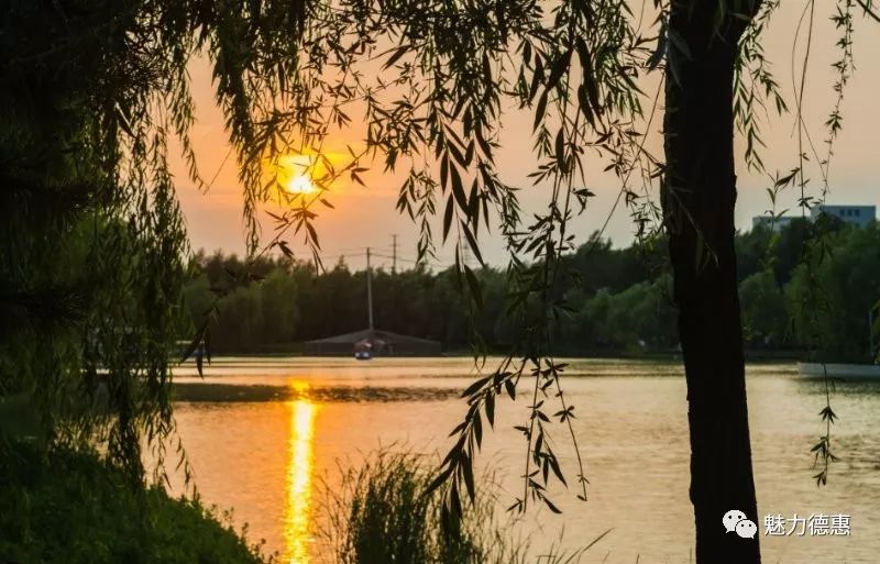 街拍德惠佳作赏析文化公园组照