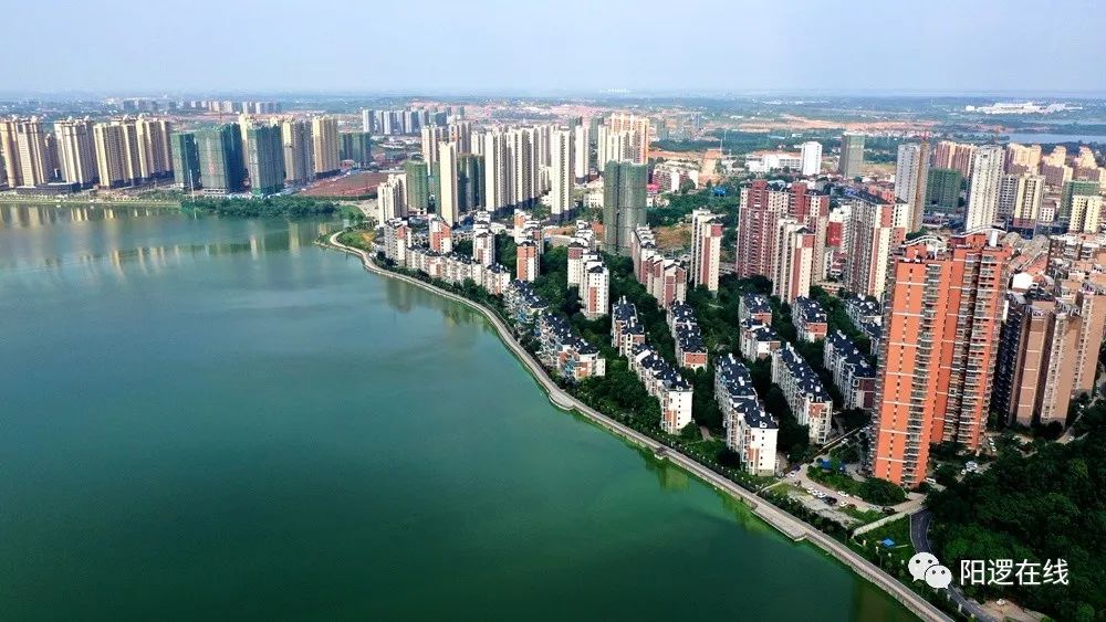 阳逻绿水青山就是金山银山