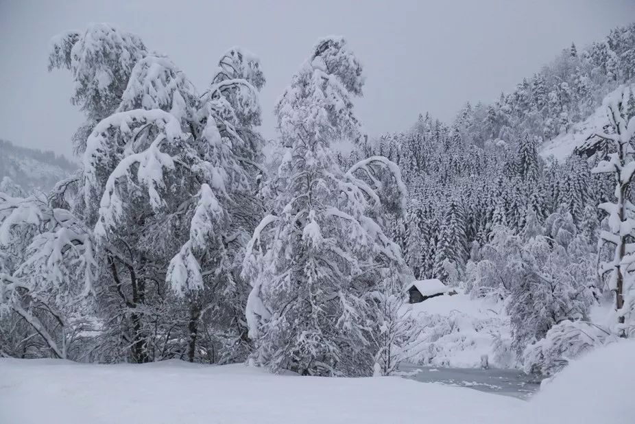 十七歲的王源,和挪威的雪