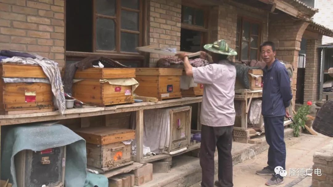 致富经鸡_致富鸡幸福路_致富鸡蛋批发点