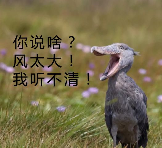 好用的表情包本期编辑:胡程远,石磊