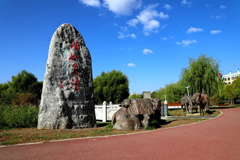 靓东河这个夏天想约你来东河晨跑