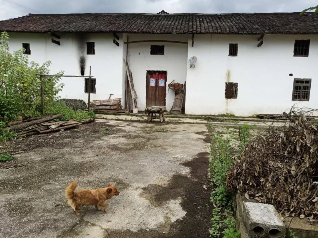 孝道文化起源的广大农村地区,却发生着一幕幕不事父母,不孝老人的事例