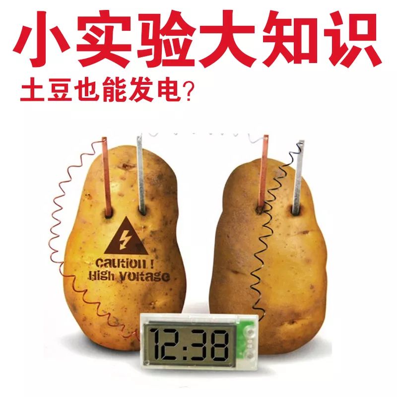 今天的实验是上海幼升小题目用水果发电