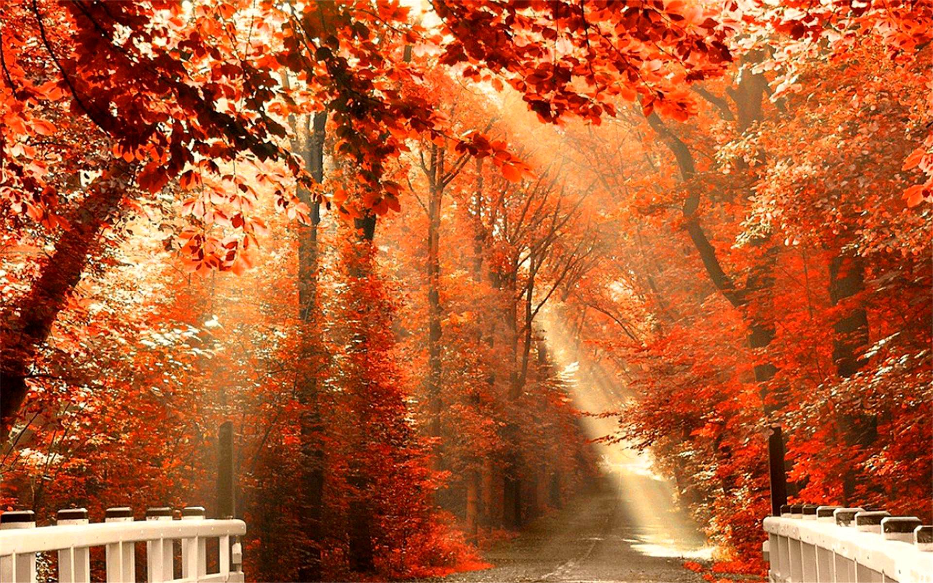 一首唯美清新的七绝诗和远方只需要一条小路美好其实很简单