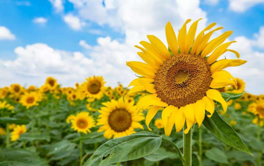 摄影中的6种对比让你的作品更有吸引力冲击力