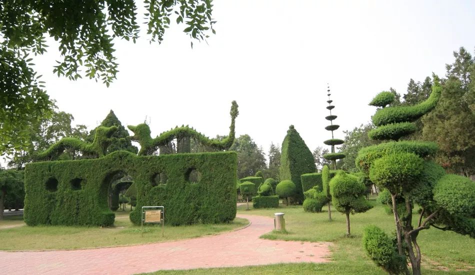 独秀园那些年,太昊陵的风景……蓍草园如今上世纪末旧照民国时期伏羲