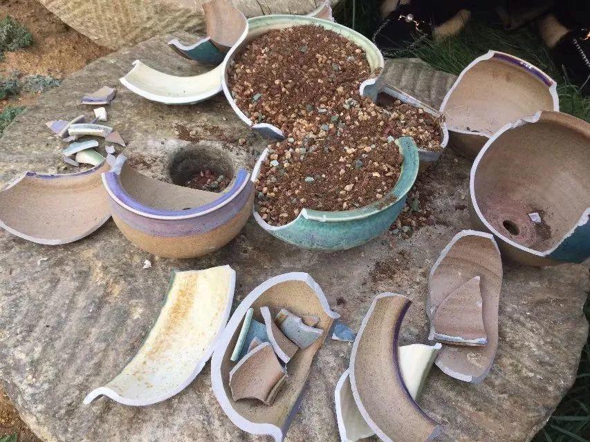 先找到几个破损不是很严重,大一些的花盆当做底座,在花盆中填土.