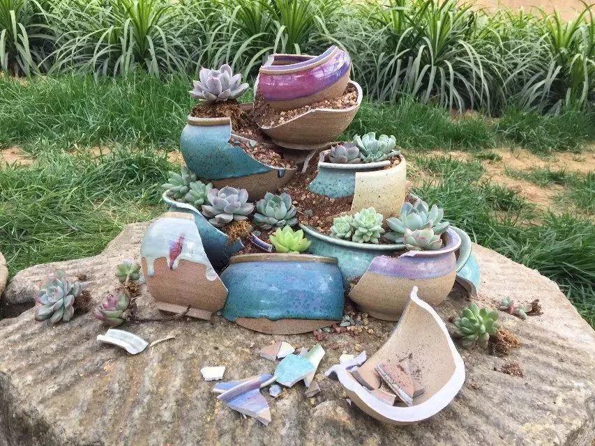 破了的花盆种多肉随便一搭都是一道漂亮的风景