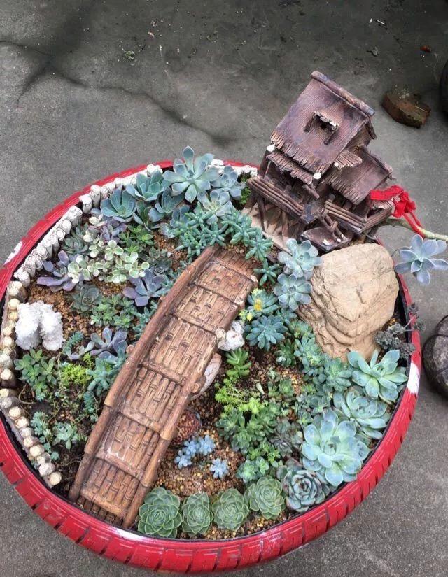 破了的花盆种多肉随便一搭都是一道漂亮的风景