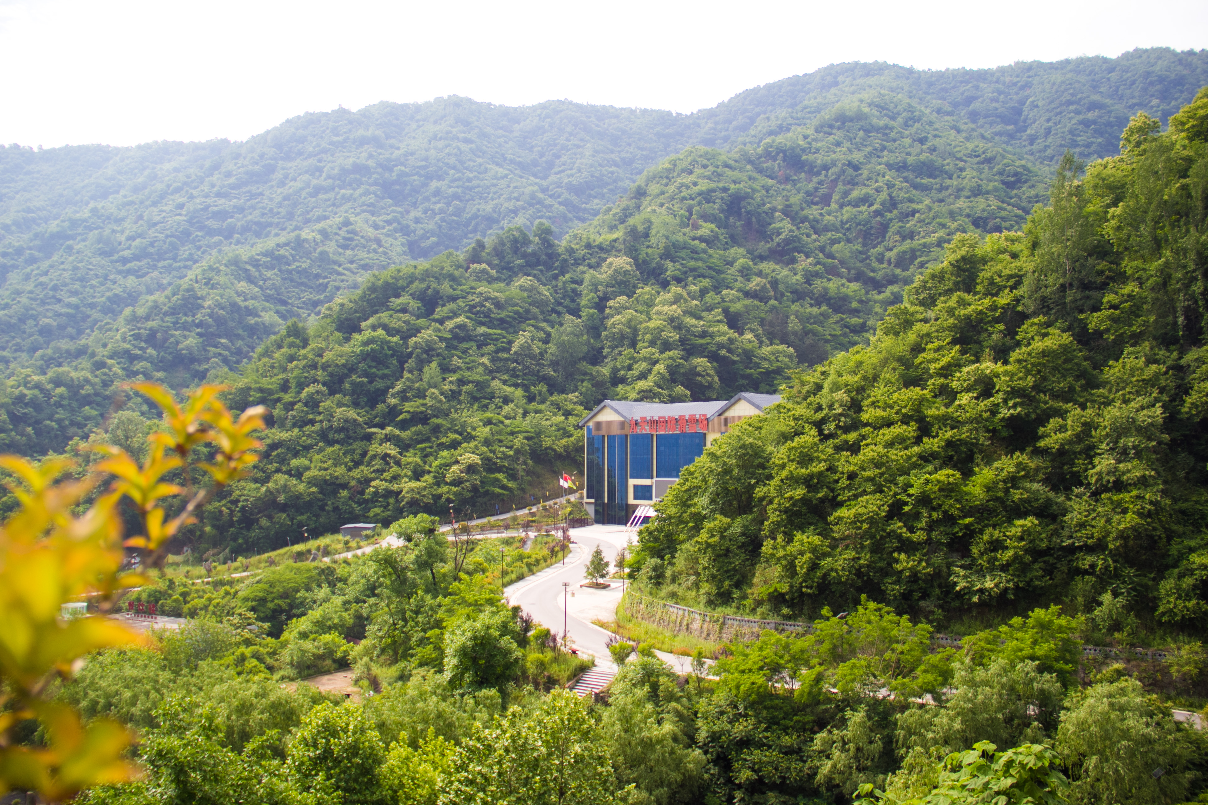 行走秦岭九天山林中出现一些绿色动物造型游人见此皆会心一笑