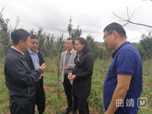 曲靖市农业农村局到沾益专题调研农业农村工作