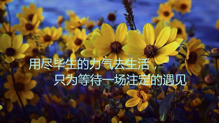 早安心语:不怕痛苦和失败,要有乐观向上的心态!