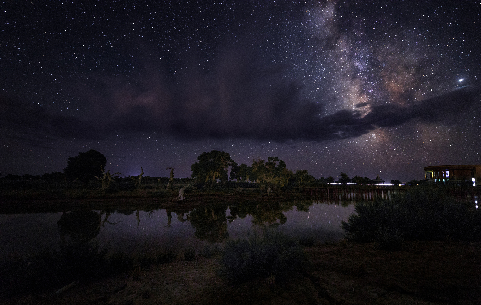 额济纳黑城弱水胡杨风景区月夜星河