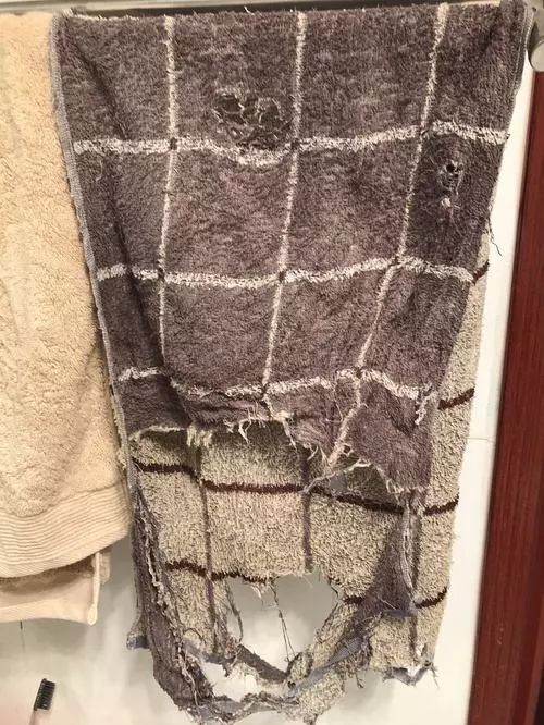 虽然勤换毛巾这个道理 大家表面都懂 很多人还是 由于贫穷和懒惰和