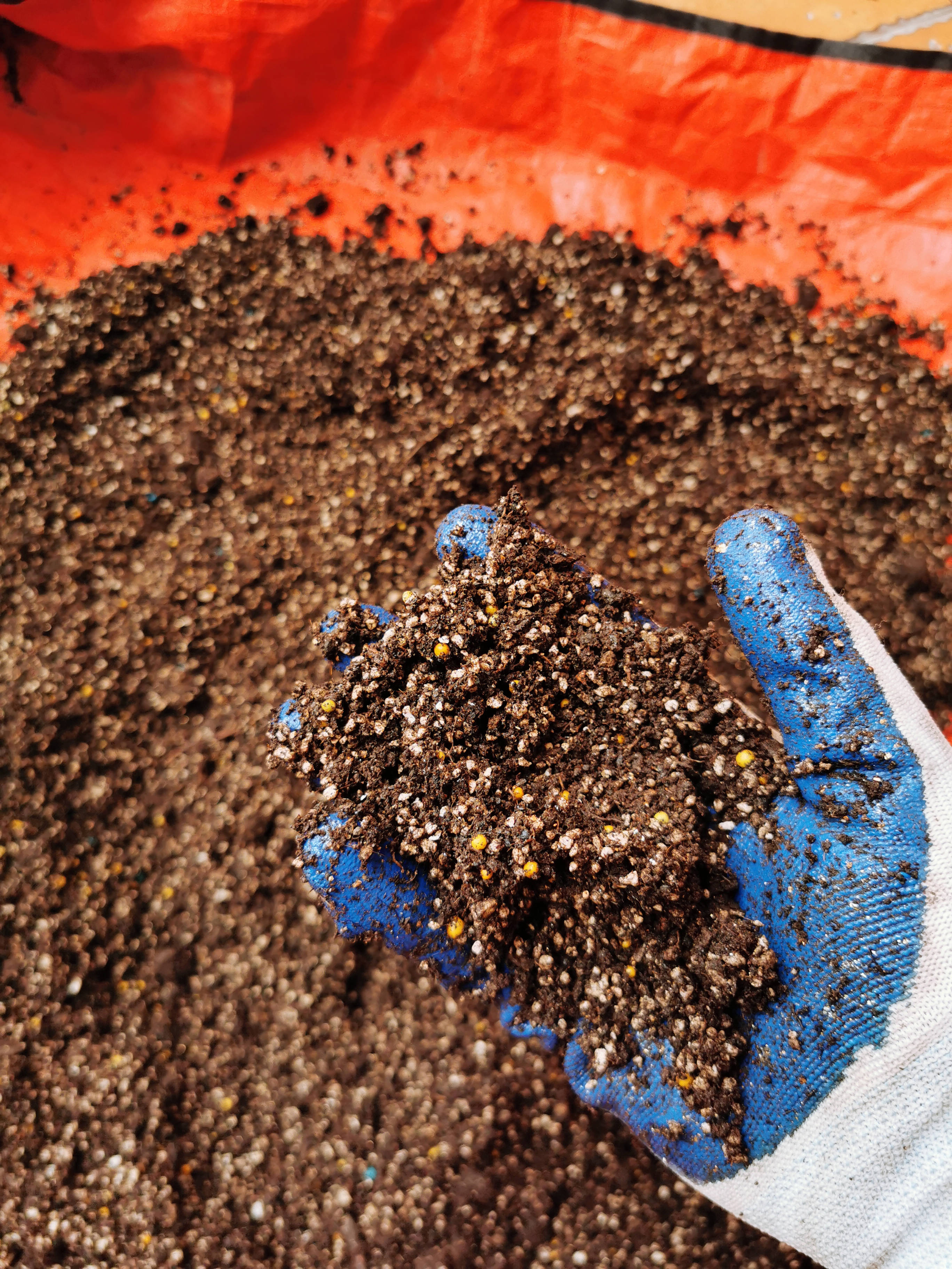 打开手掌轻抖土球不粘自然散开就达标