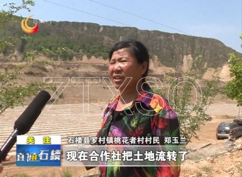 石楼县罗村镇桃花者村等3个村700余口村民生活在泊河沟内,这里生态