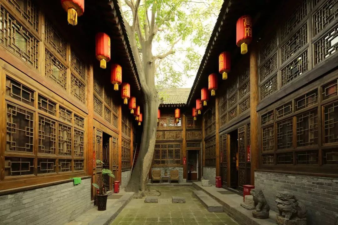 莲湖十二时辰|现代长安人的十二时辰