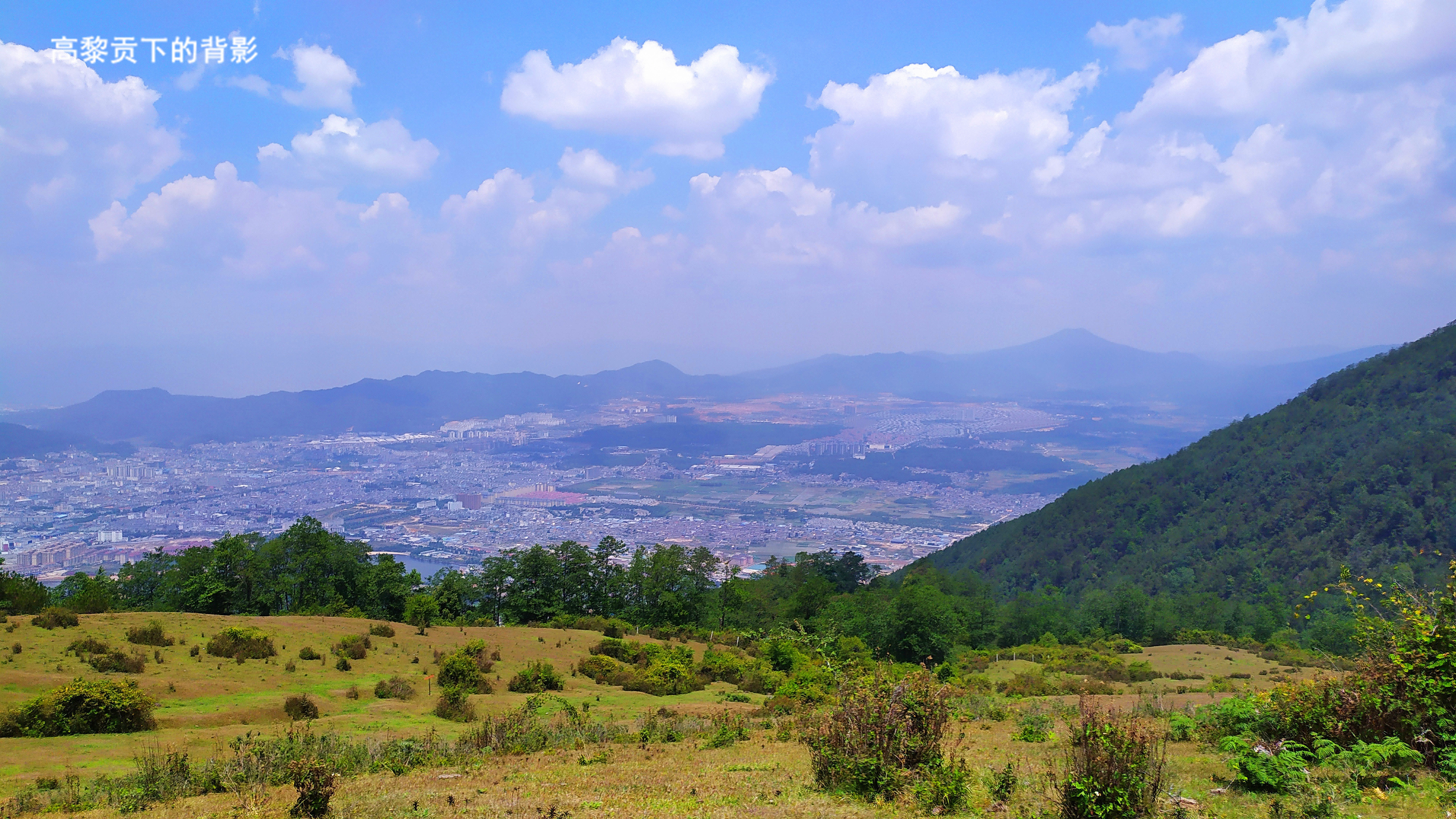 高山草甸图片微信图片