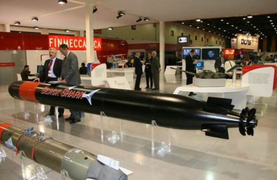 "黑鲨"电动鱼雷武器系统主要有三种:"黑鲨"533毫米电动声导鱼雷,"飞鱼