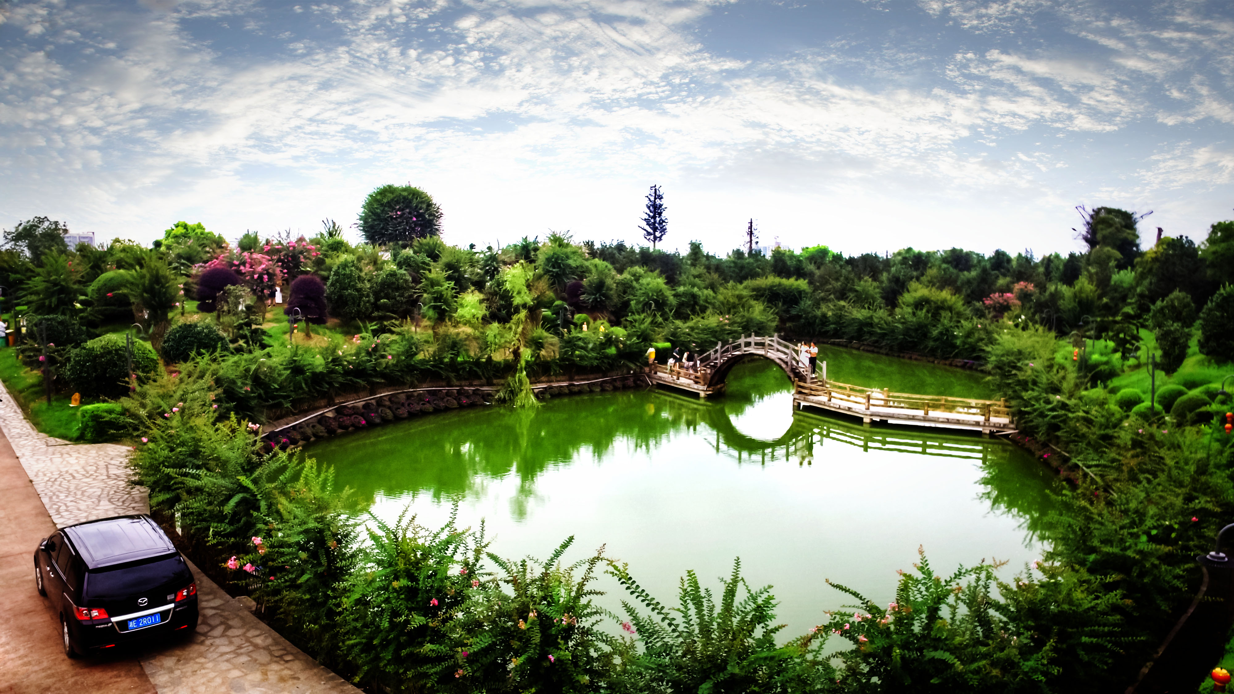 夏季赏花摄花哪儿去中国双龙紫薇第一园花正开有约的么