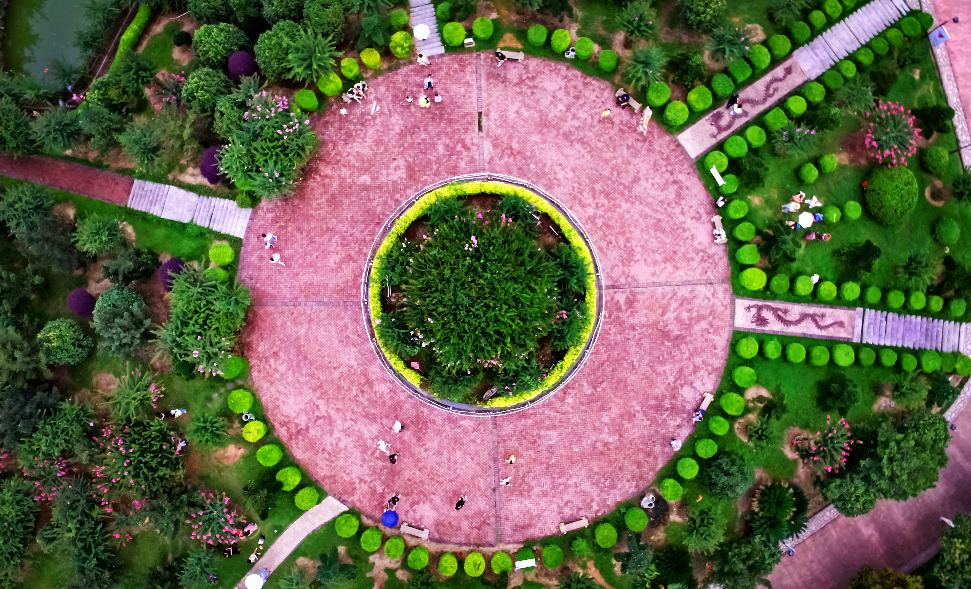 在这"中国紫薇第一园"的邵阳双龙紫薇园里,名贵树种众多,紫薇树规模