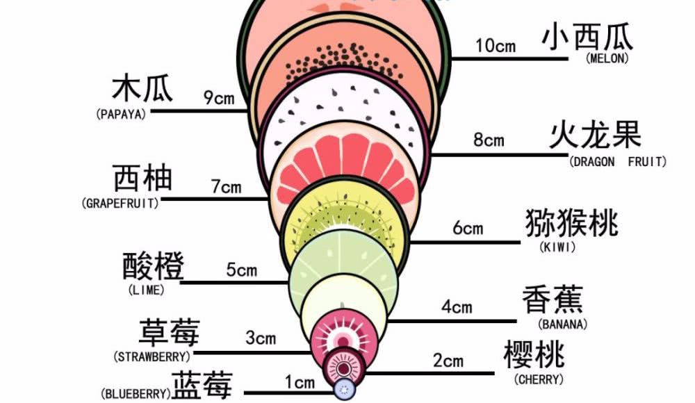 宫口开十指图片图片